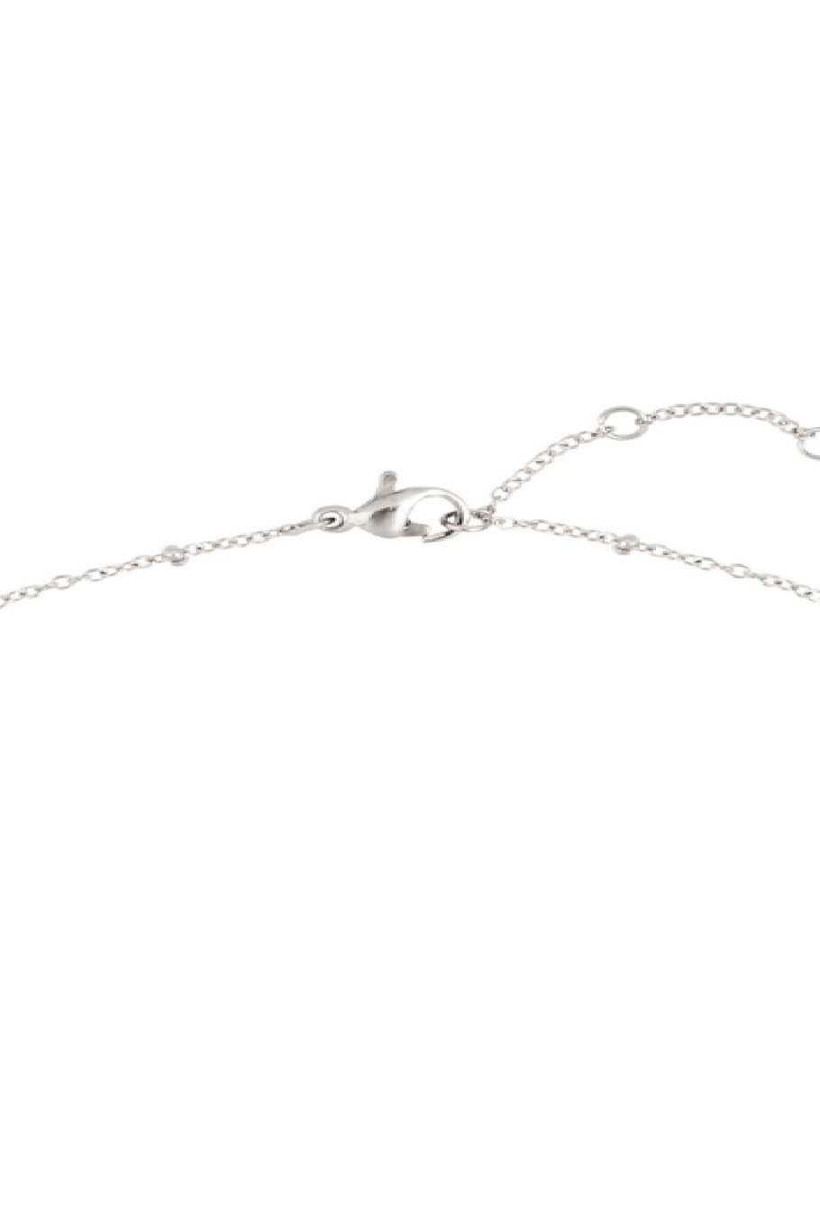 Ketting Constellation - Vissen Zilver Stainless Steel Afbeelding4